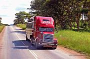 Zimbabwe trucks (3)